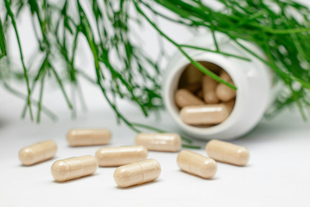 Wellness Corner