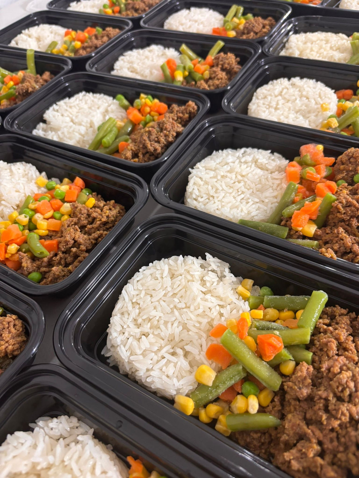 Classic Rice Beef Bowl (Porcionado)